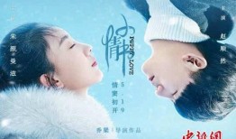 电影小情书在线观看,一场跨越时空的浪漫邂逅